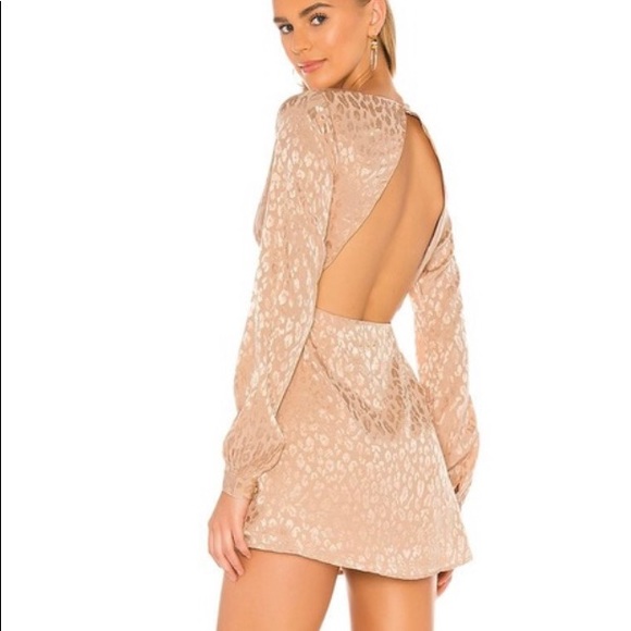 Privacy Please Cheetah Dress - Picture 2 of 4